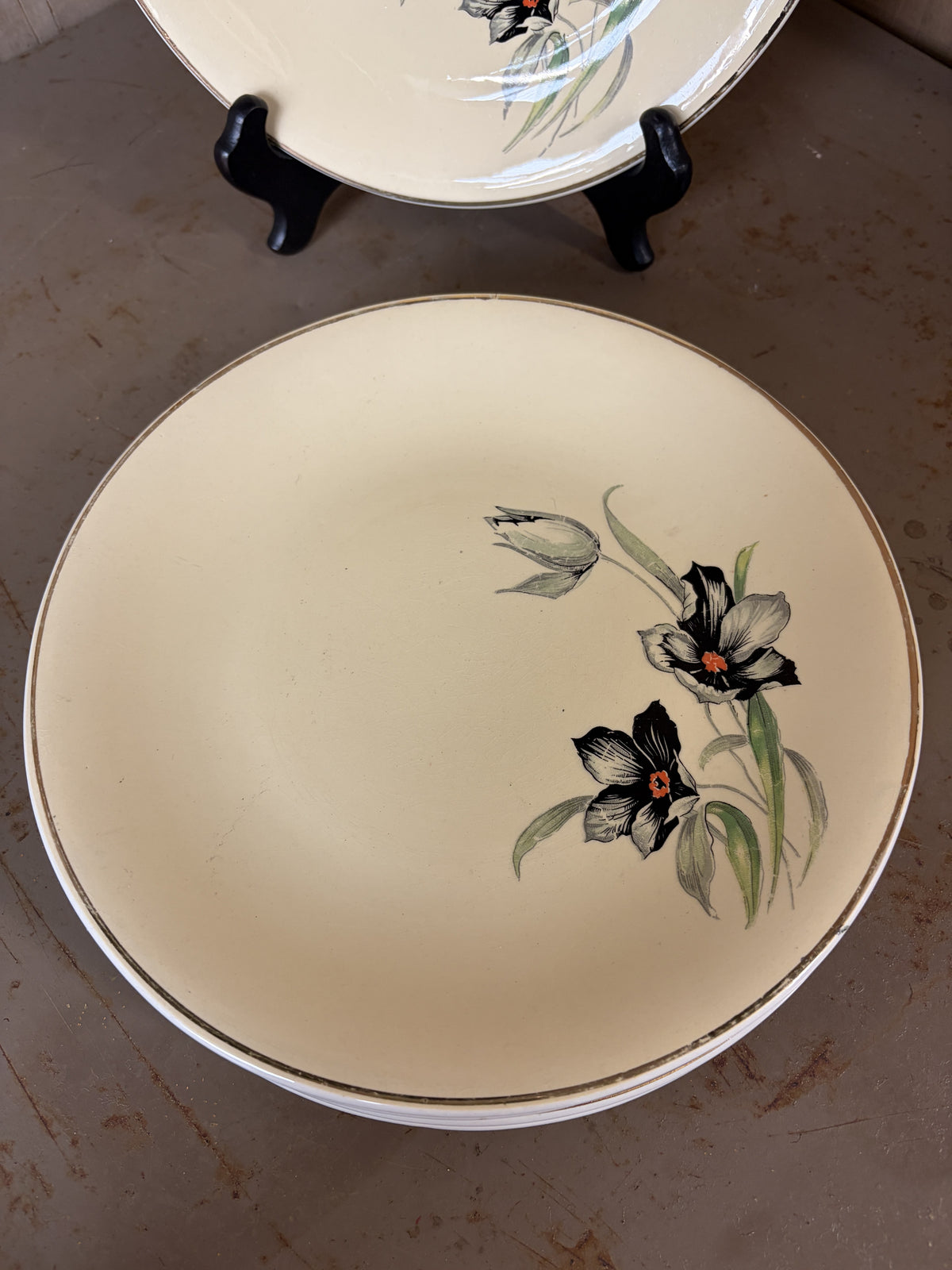 Gros plan motif tulipes noires sur assiette Ceranord